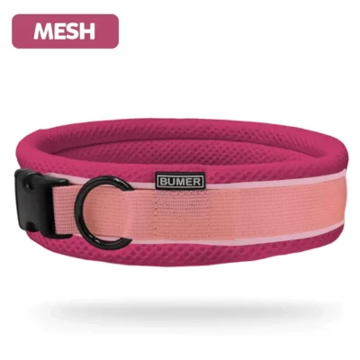 BUMER Hundehalsband, Steckhalsband, gepolstert, Mesh, konfigurierbar