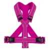 BUMER1000 MAGENTATÖNE Hundegeschirr, gepolstert, (Softshell), komplett konfigurierbar