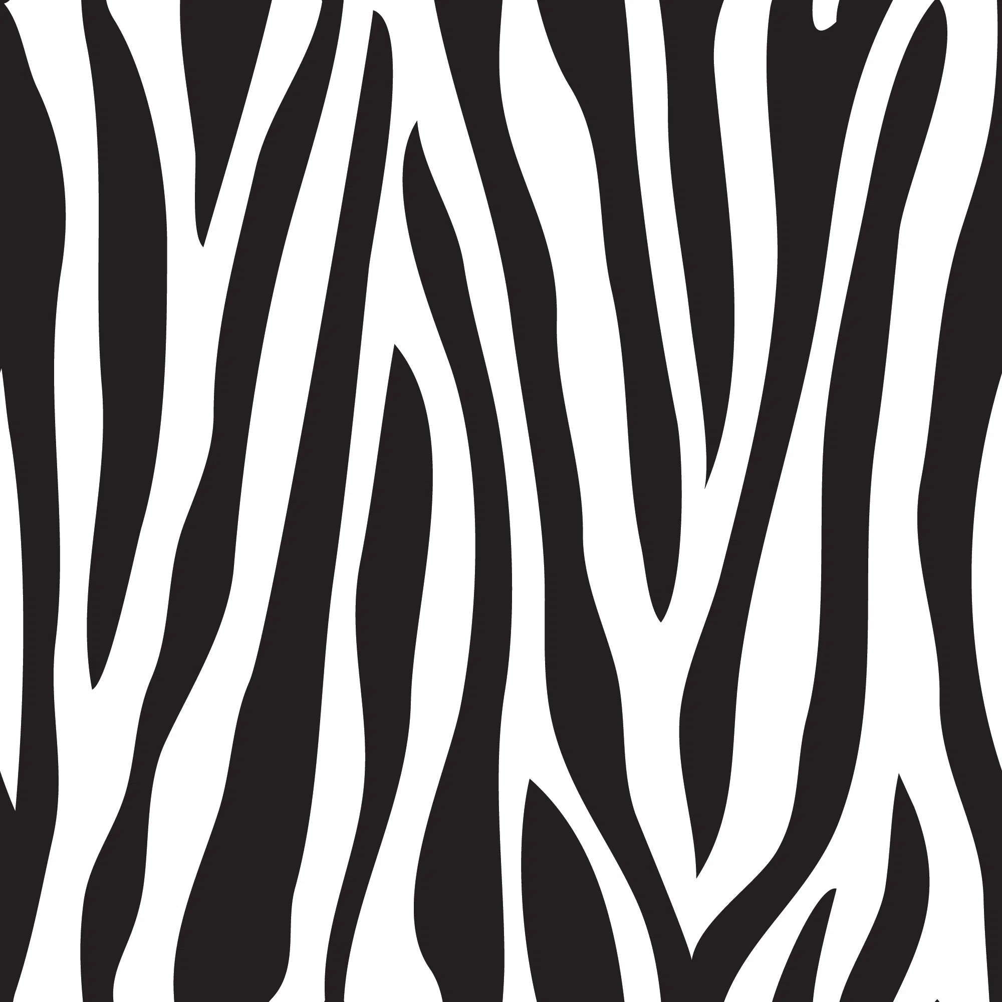 Zebra 2