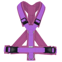 BUMER Hundegeschirr, gepolstert mit geteilten Bruststeg, Größe S, Gurtband: violet, Softshell: Kirschblüte