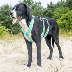 BUMER Sicherheitsgeschirr Panikhund