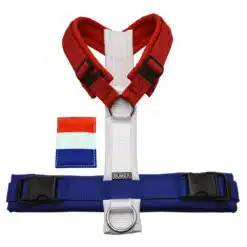 BUMER Hundegeschirr EM-Style Nationalflaggen (Softshell)