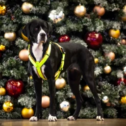 BUMER Hundegeschirr, gepolstert, (Softshell), komplett konfigurierbar WEIHNACHTEN