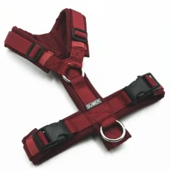 BUMER Hundegeschirr, gepolstert ohne geteilten Bruststeg, Größe XS, Gurtband PREMIUM Berry Bordeaux, Softshell Bordeaux, Ringe silberfarbig (Edelstahl)