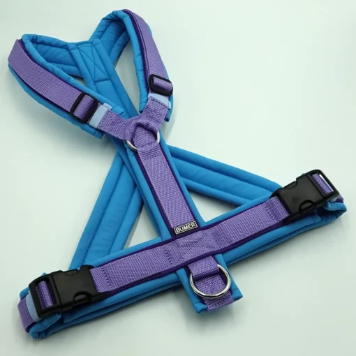 BUMER Hundegeschirr, gepolstert mit geteiltem Bruststeg, Größe L, Gurtband Lila, Softshell Himmelblau, Ringe silberfarbig (Edelstahl), Paspel Lila Viola (komplett)