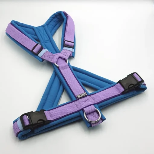 BUMER Hundegeschirr, gepolstert mit geteiltem Bruststeg, Größe L, Gurtband PREMIUM X Violet Veil, Softshell Eisvogelblau, Ringe silberfarbig (Edelstahl), Paspel Lila Viola (komplett)