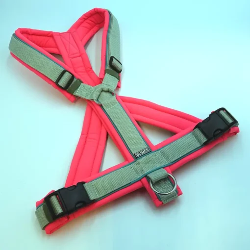 BUMER Hundegeschirr, gepolstert mit geteiltem Bruststeg, Größe L, Gurtband helles Salbei, Softshell Neonpink, Ringe silberfarbig (Edelstahl), Paspel Türkis Twirl (Komplett)