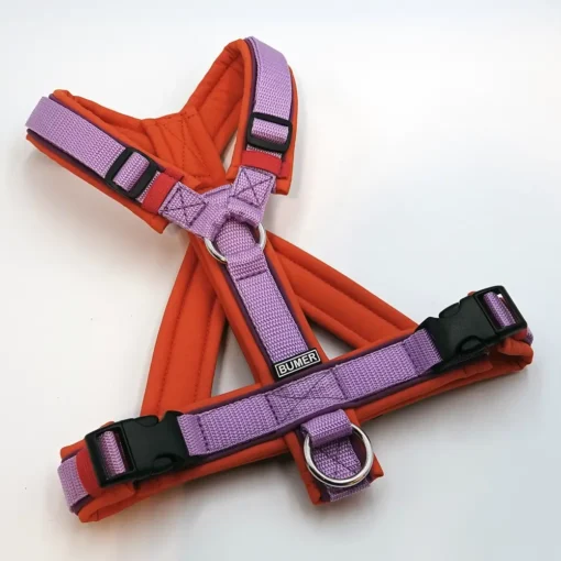 BUMER Hundegeschirr, gepolstert mit geteiltem Bruststeg, Größe S, Gurtband violet, Softshell Kürbisorange, Ringe silberfarbig (Edelstahl), Paspel Purplesky (komplett)