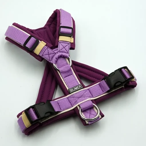 BUMER Hundegeschirr, gepolstert mit geteiltem Bruststeg, Größe XS, Gurtband Violet, Softshell PurpleSky, Ringe silberfarbig (Edelstahl), Paspel Champagne (komplett)