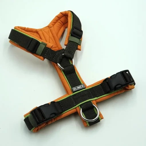 BUMER Hundegeschirr, gepolstert ohne geteilten Bruststeg, Größe XS, Gurtband Military, Softshell Zimt Orange, Ringe silberfarbig (Edelstahl), Paspel Cactus Green (komplett)