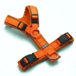 BUMER Hundegeschirr, gepolstert ohne geteilten Bruststeg, Größe XS, Gurtband PREMIUM Electric Pumpkin, Softshell Naranjada, Ringe silberfarbig (Edelstahl), Paspel Nebelstein