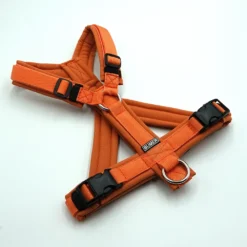 BUMER Hundegeschirr, gepolstert mit geteiltem Bruststeg, Größe S, Gurtband PREMIUM Orange, Softshell Oxidrot, Ringe silberfarbig (Edelstahl), Paspel Sommerpfirsich