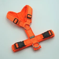 BUMER Hundegeschirr, gepolstert ohne geteilten Bruststeg, Größe XS, Gurtband PREMIUM Electric Pumpkin, Softshell Neonorange, Ringe silberfarbig (Edelstahl), Paspel Neonorange