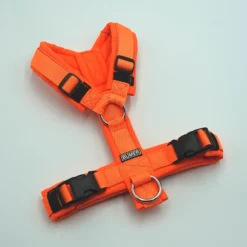 BUMER Hundegeschirr, gepolstert ohne geteilten Bruststeg, Größe XS, Gurtband PREMIUM Electric Pumpkin, Softshell Neonorange, Ringe silberfarbig (Edelstahl), Paspel Sommerpfirsich