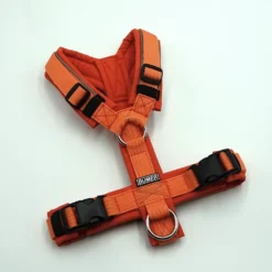 BUMER Hundegeschirr, gepolstert ohne geteilten Bruststeg, Größe XS, Gurtband PREMIUM Orange, Softshell Kürbisorange, Ringe silberfarbig (Edelstahl), Paspel grau (reflektierend)