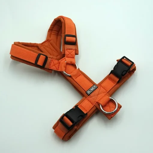 BUMER Hundegeschirr, gepolstert ohne geteilten Bruststeg, Größe XS, Gurtband PREMIUM Orange, Softshell Oxidrot, Ringe silberfarbig (Edelstahl), Paspel Kupferkessel