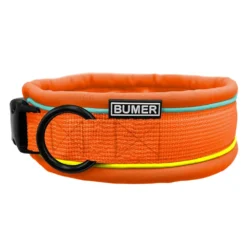 BUMER Hundehalsband, Steck-Halsband, gepolstert, Softshell, konfigurierbar