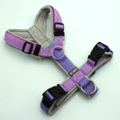 BUMER MULTICOLOR Hundegeschirr, gepolstert ohne geteilten Bruststeg, Größe XS, Gurtband lila/violet, Softshell Hellgrau