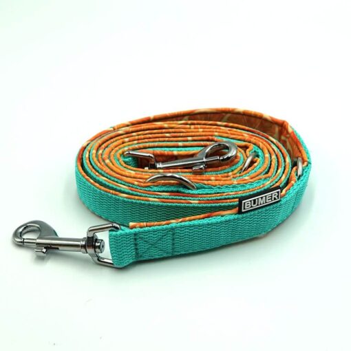 BUMER Hundeleine, gepolstert, Länge 200cm Softshell-Farbe FRÜCHTE (Orangen) Gurtband-Breite 20 mm Gurtband-Farbe mint Ringe & Karabiner silberfarbig