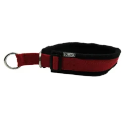 BUMER Zug-Stop, Hundehalsband für Hunde, gepolstert, Halsumfang 47-53 cm Gurtband-Breite 25 mm Polsterbreite Standard Softshell-Farbe schwarz Gurtband-Farbe mattrot, Ring silberfarbig (Edelstahl)