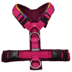 BUMER Hundegeschirr TON IN TON, gepolstert ohne geteilten Bruststeg, Größe XS, Gurtband PREMIUM Fuchsia Flare, Softshell Rubintango, Ringe silberfarbig (Edelstahl), Zusatzring Rückensteg