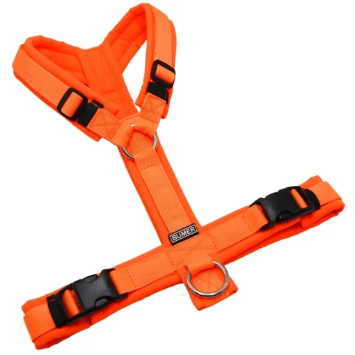 BUMER Hundegeschirr, gepolstert ohne geteilten Bruststeg, Zwischengröße S M, Gurtband PREMIUM Electric Pumpkin, Softshell Neonorange, Ringe silberfarbig (Edelstahl)