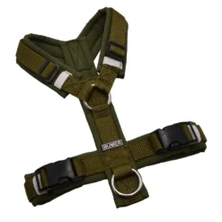 BUMER Hundegeschirr, gepolstert ohne geteilten Bruststeg, Größe XS, Gurtband Olive, Softshell Olive, Ringe silberfarbig (Edelstahl)