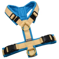 BUMER Hundegeschirr, gepolstert ohne geteilten Bruststeg, Größe XS, Gurtband PREMIUM Buttercreme, Softshell Himmelblau, Ringe goldfarbig