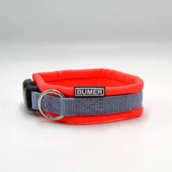 BUMER Steckhalsband, Hundehalsband für Hunde, gepolstert, Halsumfang 27-33 cm, Gurtband Titan, Softshell Neonrot, Ring silberfarbig (Edelstahl)