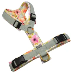 BUMER Hundegeschirr, gepolstert ohne geteilten Bruststeg, Größe M, Gurtband Helles Salbei, Softshell Floras Flüstern (AQUARELLBLUMEN), Ringe goldfarbig, Schnallen DURAFLEX®, Applikation