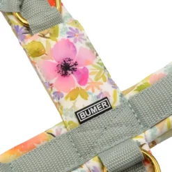 BUMER Hundegeschirr, gepolstert ohne geteilten Bruststeg, Größe M, Gurtband Helles Salbei, Softshell Floras Flüstern (AQUARELLBLUMEN), Ringe goldfarbig, Schnallen DURAFLEX®, Applikation