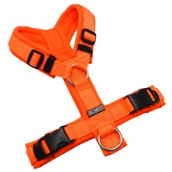 BUMER Hundegeschirr, gepolstert ohne geteilten Bruststeg, Größe XS, Gurtband PREMIUM Electric Pumpkin, Softshell Neonorange, Ringe silberfarbig (Edelstahl), Schnallen schwarz (DURAFLEX®)