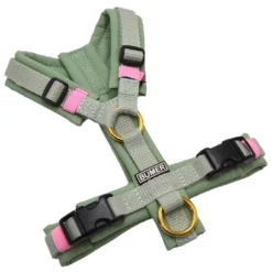 BUMER Hundegeschirr, gepolstert ohne geteilten Bruststeg, Größe XXS, Gurtband Helles Salbei, Softshell Eucalyptus, Ringe goldfarbig, Schnallen DURAFLEX®