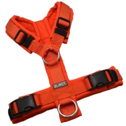 BUMER1000 Hundegeschirr, gepolstert ohne geteilten Bruststeg, Größe XS, Gurtband PREMIUM Scarlett Essence, Softshell ROTTÖNE (RO-5453), Ringe silberfarbig (Edelstahl)