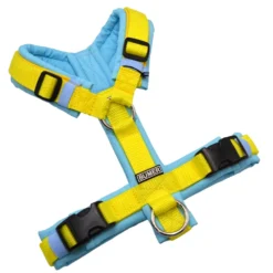 BUMER1000 Hundegeschirr, gepolstert ohne geteilten Bruststeg, Größe XS, Gurtband PREMIUM X Zitrinzauber, Softshell CY-8151 (CYANTÖNE), Ringe silberfarbig (Edelstahl), Schnallen schwarz DURAFLEX®