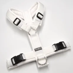 BUMER BOHO Hundegeschirr, gepolstert ohne geteilten Bruststeg, Größe XS / S, Gurtband: PREMIUM Silken Snow, Softshell: Weiss, Ringe: silberfarbig (Edelstahl), Schnallen: DURAFLEX®