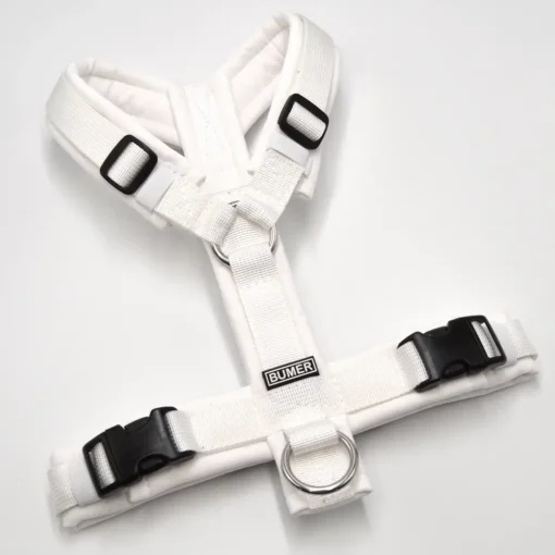 BUMER BOHO Hundegeschirr, gepolstert ohne geteilten Bruststeg, Größe XS / S, Gurtband: PREMIUM Silken Snow, Softshell: Weiss, Ringe: silberfarbig (Edelstahl), Schnallen: DURAFLEX®