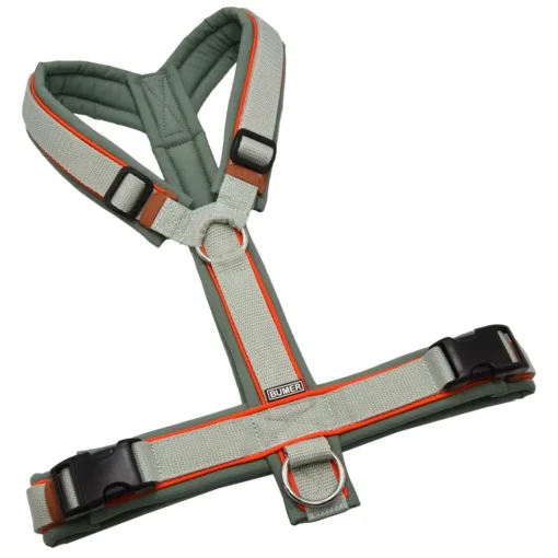 BUMER Hundegeschirr, gepolstert ohne geteilten Bruststeg, Größe L, Gurtband Helles Salbei, Softshell Schilfgrün, Ringe silberfarbig (Edelstahl), Schnallen schwarz (DURAFLEX®)