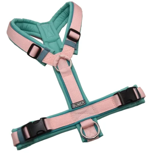 BUMER Hundegeschirr, gepolstert ohne geteilten Bruststeg, Größe S, Gurtband PREMIUM Blush Petal, Softshell Minty Breeze, Ringe silberfarbig (Edelstahl), Schnallen DURAFLEX®, Paspel Türkis Twirl (komplett)
