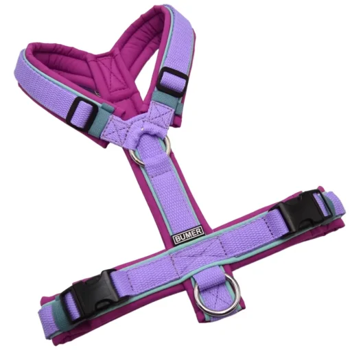 BUMER Hundegeschirr, gepolstert ohne geteilten Bruststeg, Größe S, Gurtband PREMIUM X Violet Veil, Softshell Feigenmagenta, Ringe silberfarbig (Edelstahl), Schnallen DURAFLEX®, Paspel Jadenluft (komplett)