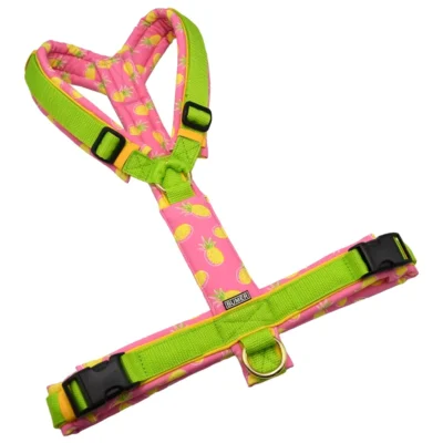 BUMER Hundegeschirr, gepolstert ohne geteilten Bruststeg, Größe XL, Gurtband: PREMIUM X Kiwi Kiss, Softshell: PinK N Pine, Ringe: goldfarbig, Schnallen: schwarz (DURAFLEX®), Applikation
