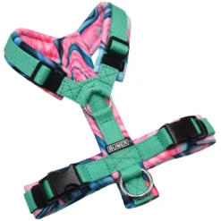 BUMER Hundegeschirr, gepolstert ohne geteilten Bruststeg, Größe XS, Gurtband Mint, Softshell Liquid Groovy Pink, Ringe silberfarbig (Edelstahl), Schnallen DURAFLEX®
