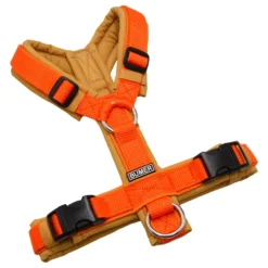 BUMER Hundegeschirr, gepolstert ohne geteilten Bruststeg, Größe XS, Gurtband Orange, Softshell Golden Nougat, Ringe silberfarbig (Edelstahl), Schnallen DURAFLEX®
