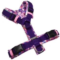 BUMER Hundegeschirr, gepolstert ohne geteilten Bruststeg, Größe XS, Gurtband PREMIUM X Twilight Plum, Softshell LILA LAVA, Ringe silberfarbig (Edelstahl), Schnallen DURAFLEX®