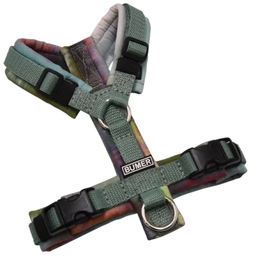 BUMER Hundegeschirr, gepolstert ohne geteilten Bruststeg, Größe XXS, Gurtband Salbei, Softshell Northern Maybe Lights, Ringe silberfarbig (Edelstahl), Schnallen schwarz (DURAFLEX®)