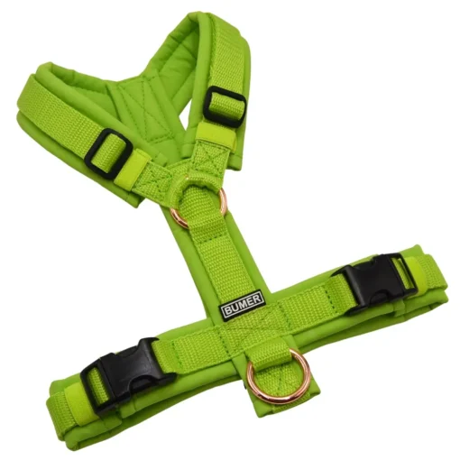 BUMER Hundegeschirr, gepolstert ohne geteilten Bruststeg, Zwischengröße XS/S, Gurtband Hell Lime, Softshell Lime, Ringe rosegoldfarbig