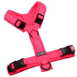 BUMER Hundegeschirr, gepolstert ohne geteilten Bruststeg, Zwischengröße XXS/XS, Gurtband PREMIUM Vibrant Magenta, Softshell Neonpink, Ringe schwarz (Edelstahl), Schnallen schwarz (DURAFLEX®)