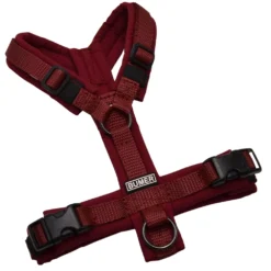 BUMER Hundegeschirr, gepolstert ohne geteilten Bruststeg, Zwischengröße XXS/XS, Gurtband PREMIUM X Bordeaux, Softshell Bordeaux, Ringe schwarz (Edelstahl), Schnallen schwarz (DURAFLEX®)