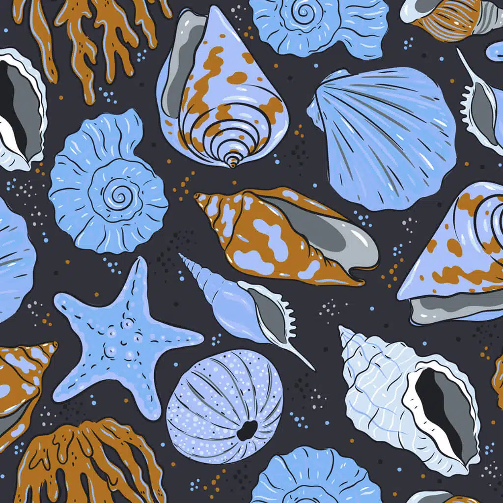 Seashell Serenade