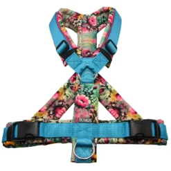 BUMER Hundegeschirr, gepolstert mit geteiltem Bruststeg, Größe M, Gurtband PREMIUM Blue Lagoon, Softshell CONCRETE SPRING, Ringe silberfarbig (Edelstahl), Schnallen schwarz (DURAFLEX®), Applikation